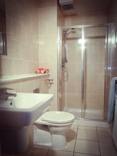 Shower/WC at 77a Junction Road
