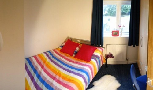 Bedroom 3 at 28 Broom Walk