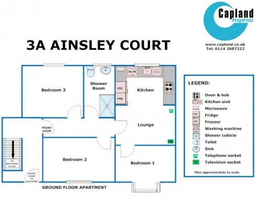 Floor Plan of 3a Ainsley Court