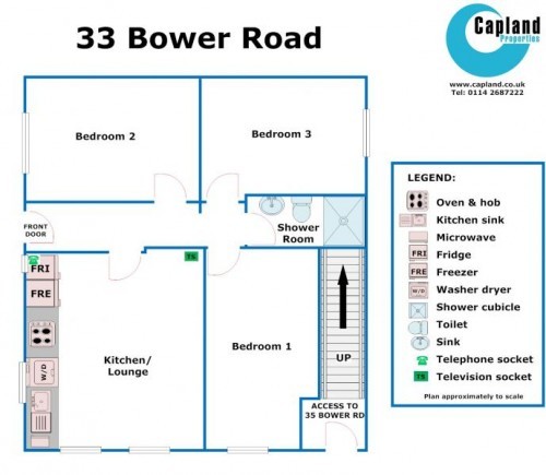 Floorplan of 33 Bower Road