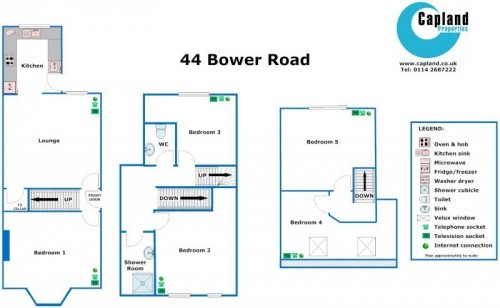 Floorplan of 44 Bower Road