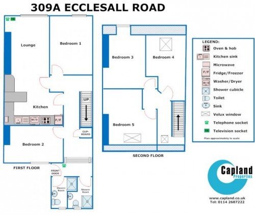 Floorplan of 309a Ecclesall Road