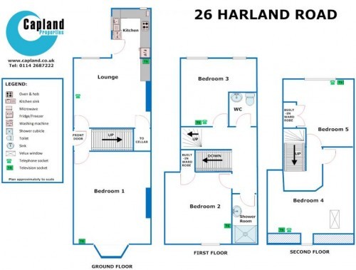 Floorplan of 26 Harland Road