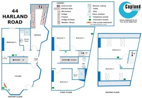 Floorplan of 44 Harland Road