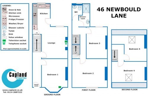 Floorplan of 46 Newbould Lane