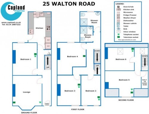 Floorplan of 25 Walton Road