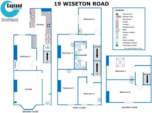 19 Wiseton Road Floor Plan