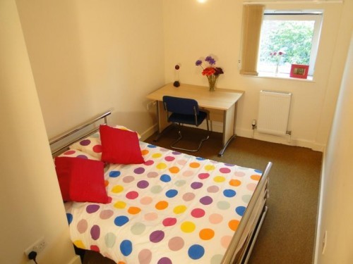 Bedroom 4 at 79 William Street