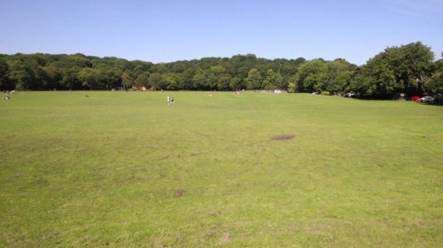 View from Property over Endcliffe Park